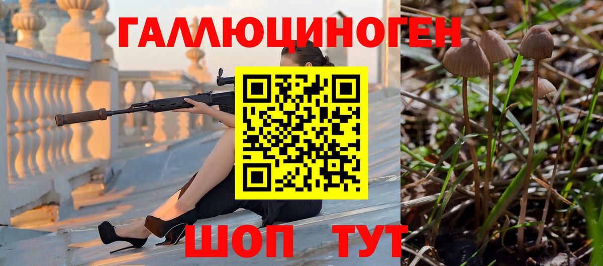 Галлюциногенные грибы прущие грибы Королёв